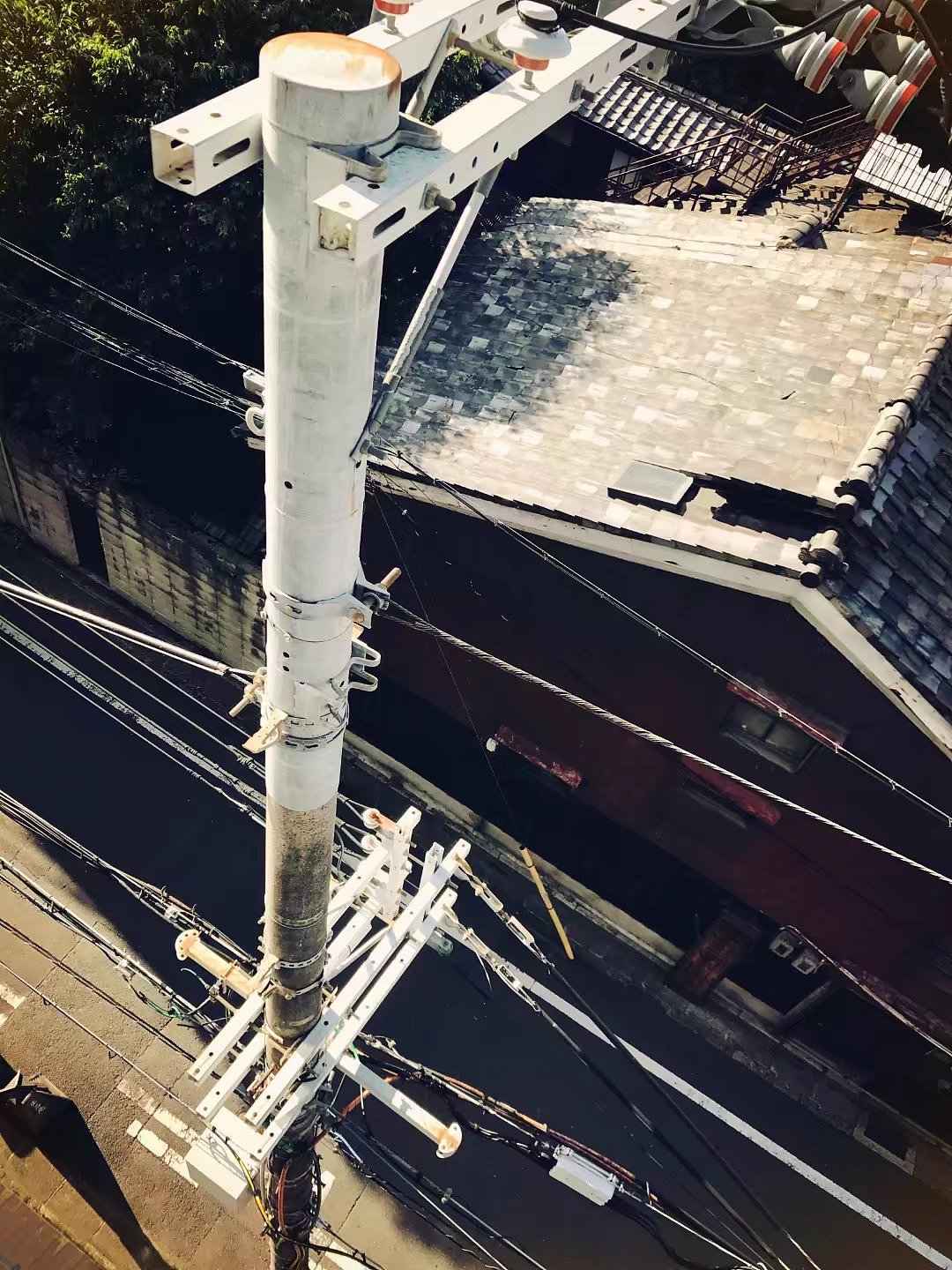 日本京都一周游