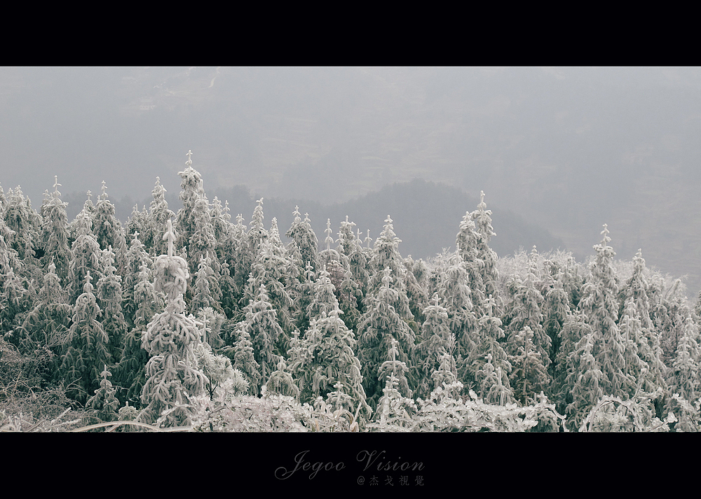 《那一场风花雪月的事》