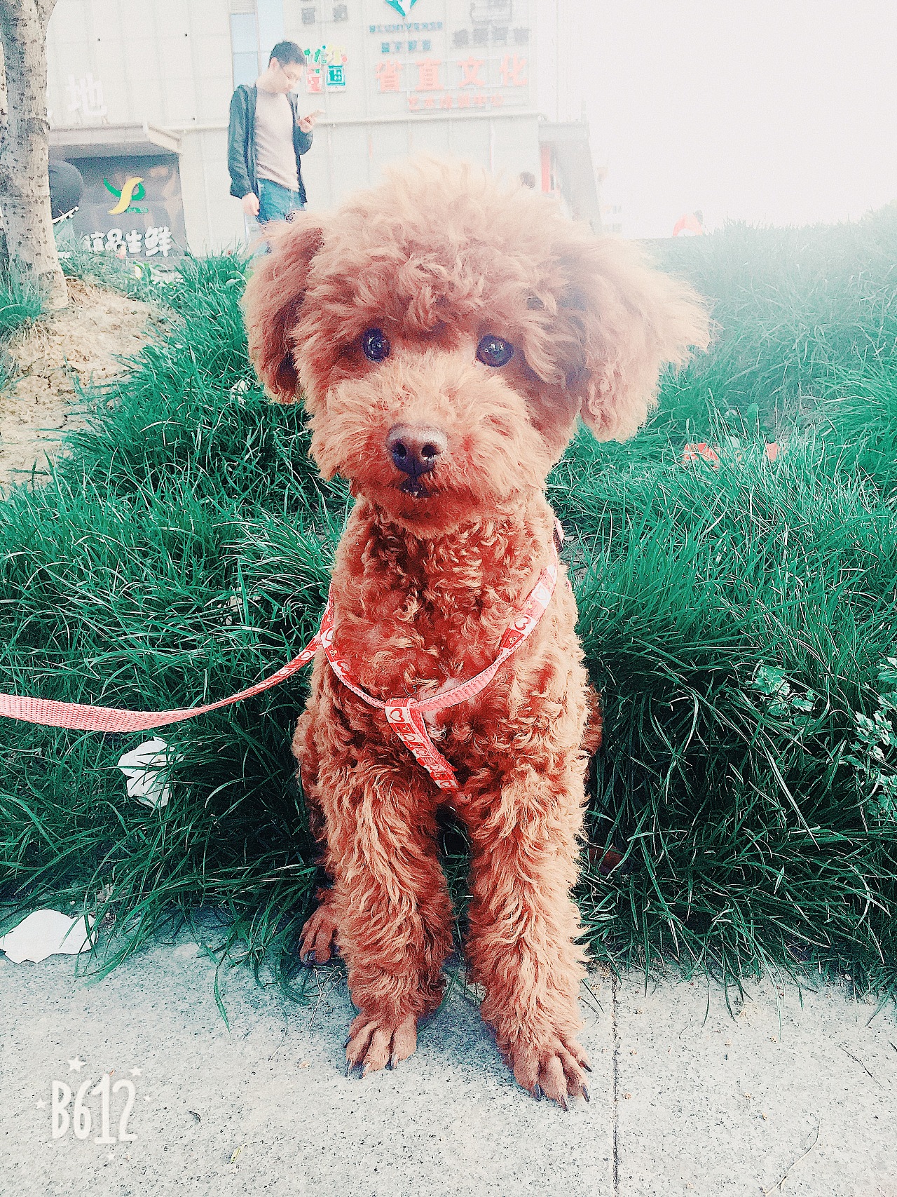 萌宠大爆炸|摄影|动物|我不在_我就看看 - 原创作