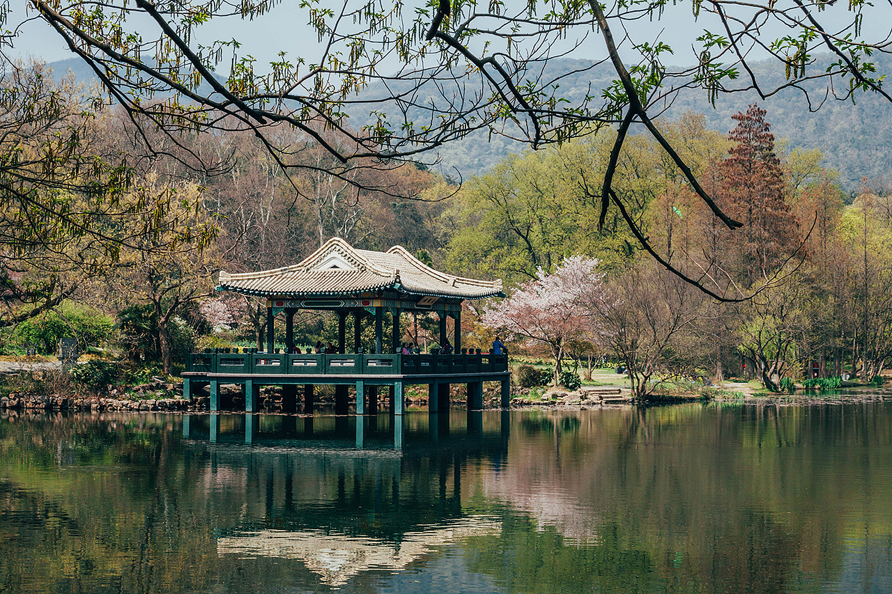 山蒜炒鸡蛋 | 春季一味鲜
