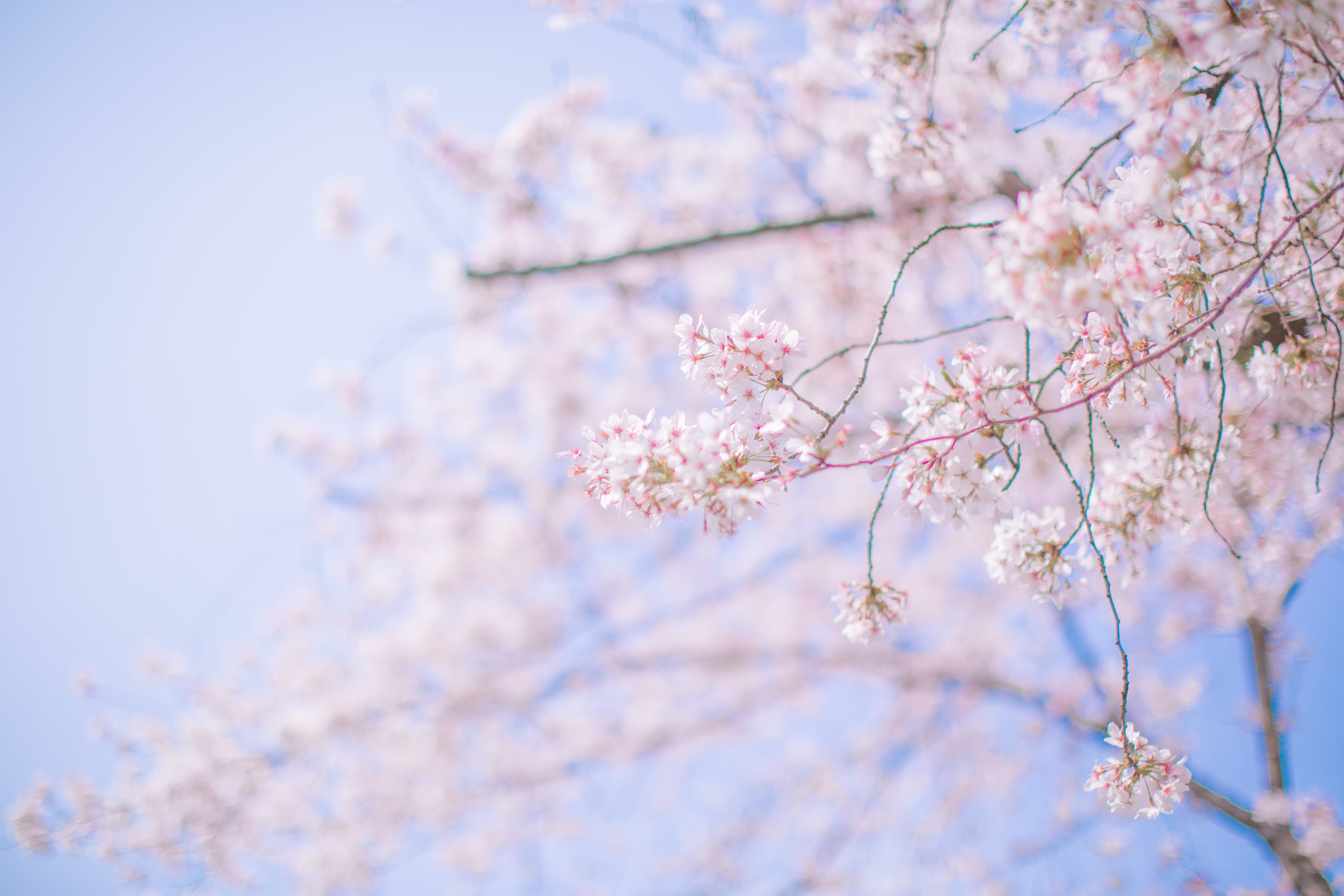 GRACE94的个人主页（封面预览） - 主页封面设置 - 站酷设计师GRACE94原创素材 - 站酷ZCOOL