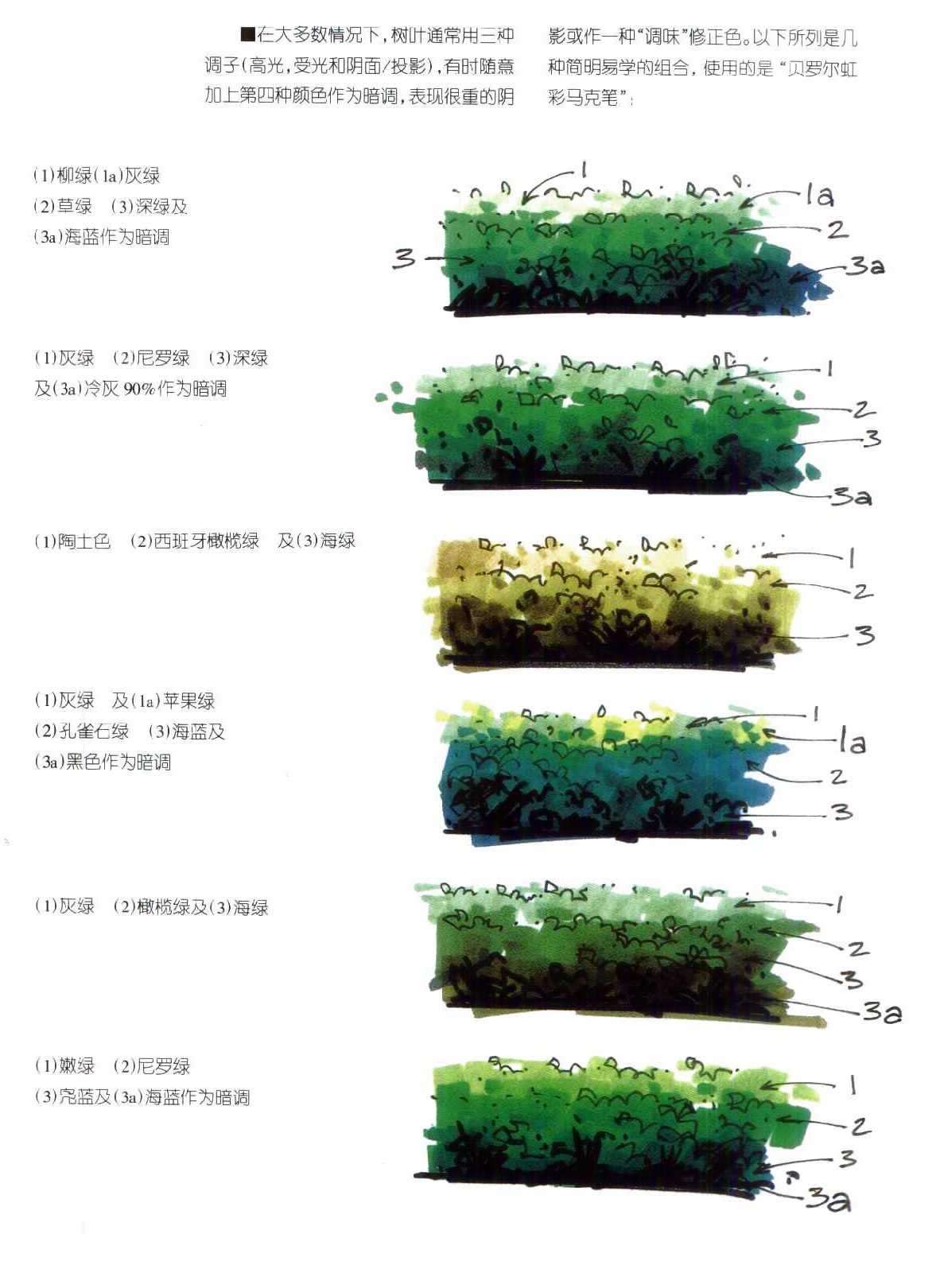 马克笔植物手绘教程案例分享|其他|其他|汉武考研手绘 - 原创作品 - 站酷 (ZCOOL)