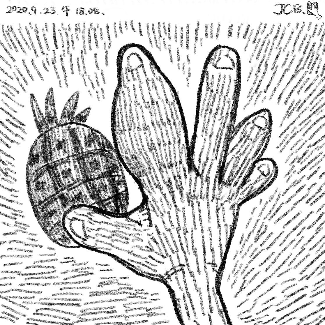 前几天食指又又肿起来了，应该是腱鞘炎。
<br>只要食指不会哪天突然炸掉就还好啦。<br>但是画起画来确实会有阻碍…<br><br>之后在路边买了个菠萝样的解压小球，捏着玩着，手指就逐渐变好了…… <br><br>这算不算是画师必备小玩具了？