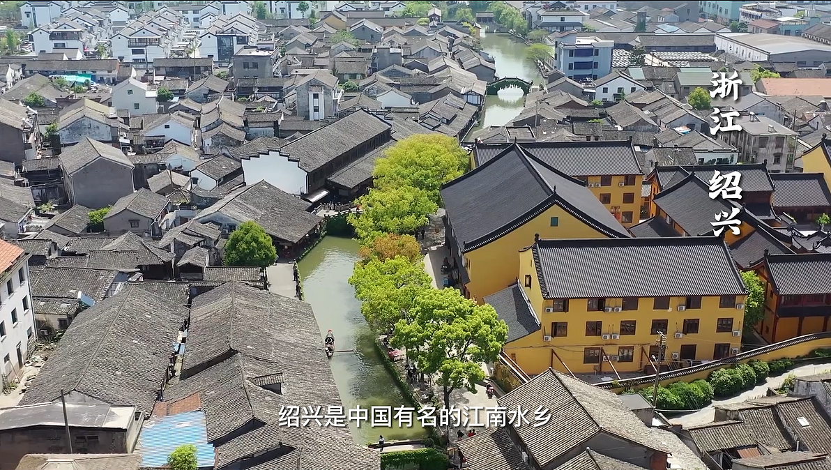 合作商一冈锦鲤养殖场采访短片