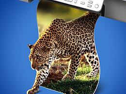 習(xí)作之高清打印機(jī)