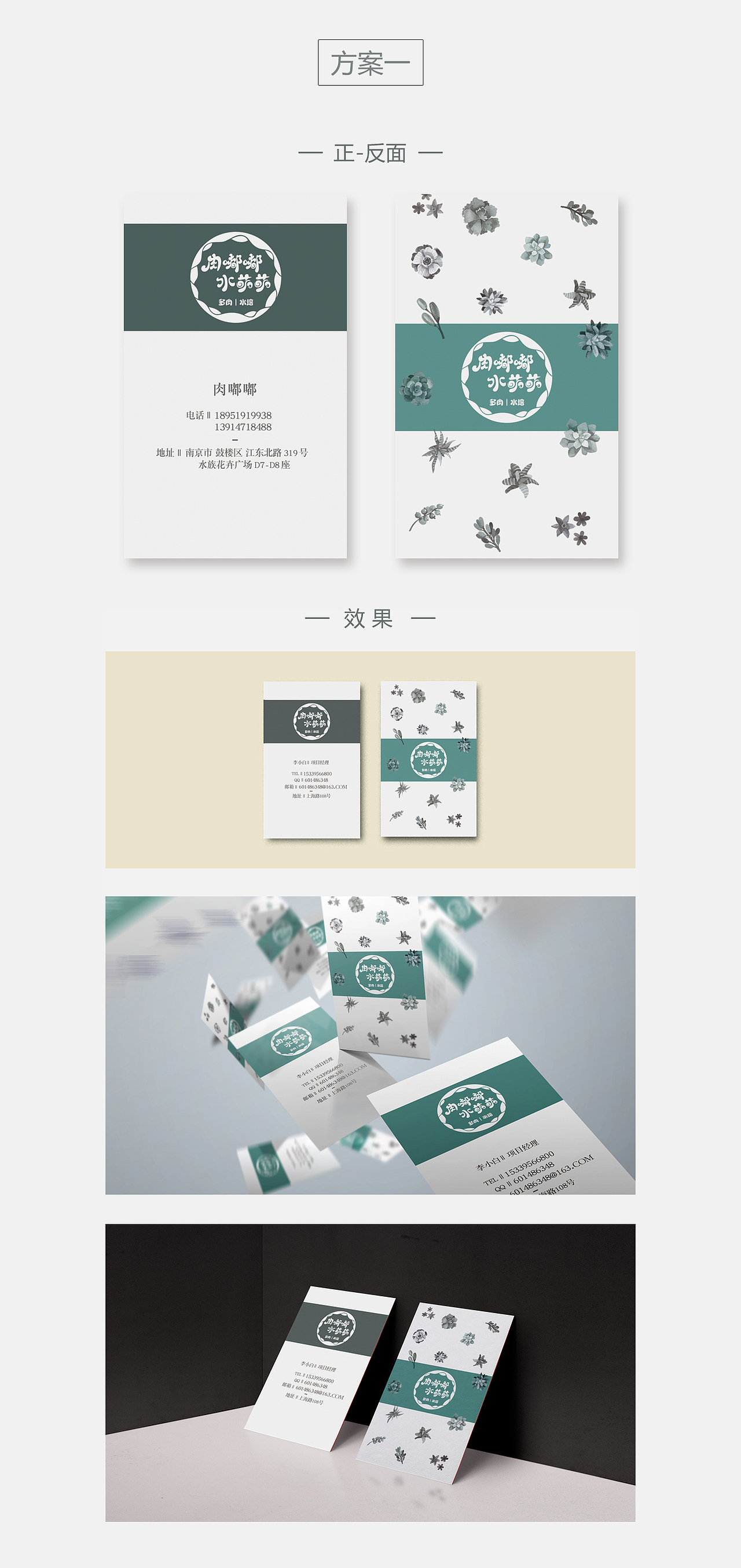 多肉植物名片设计