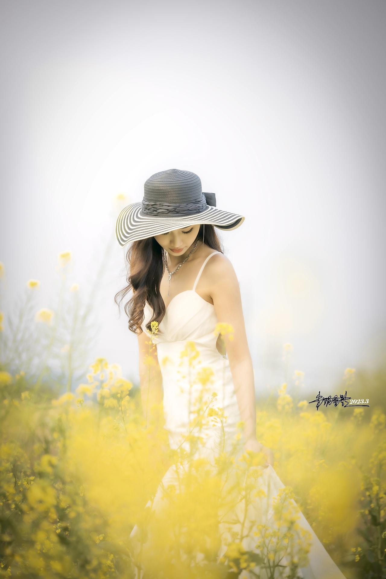 南宁明阳工业区“油菜花田”