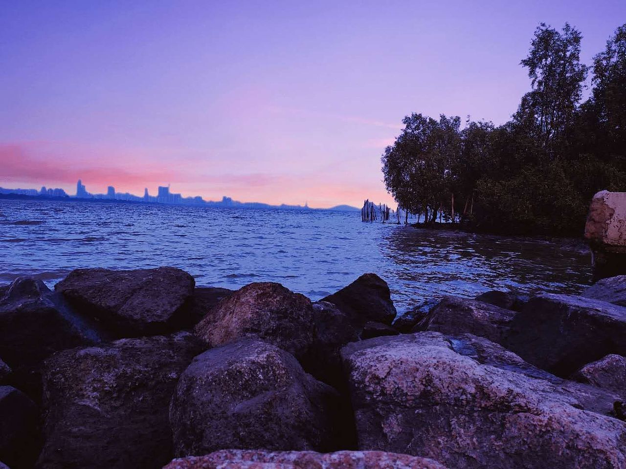 抬头仰望天空，矮身低嗅江海