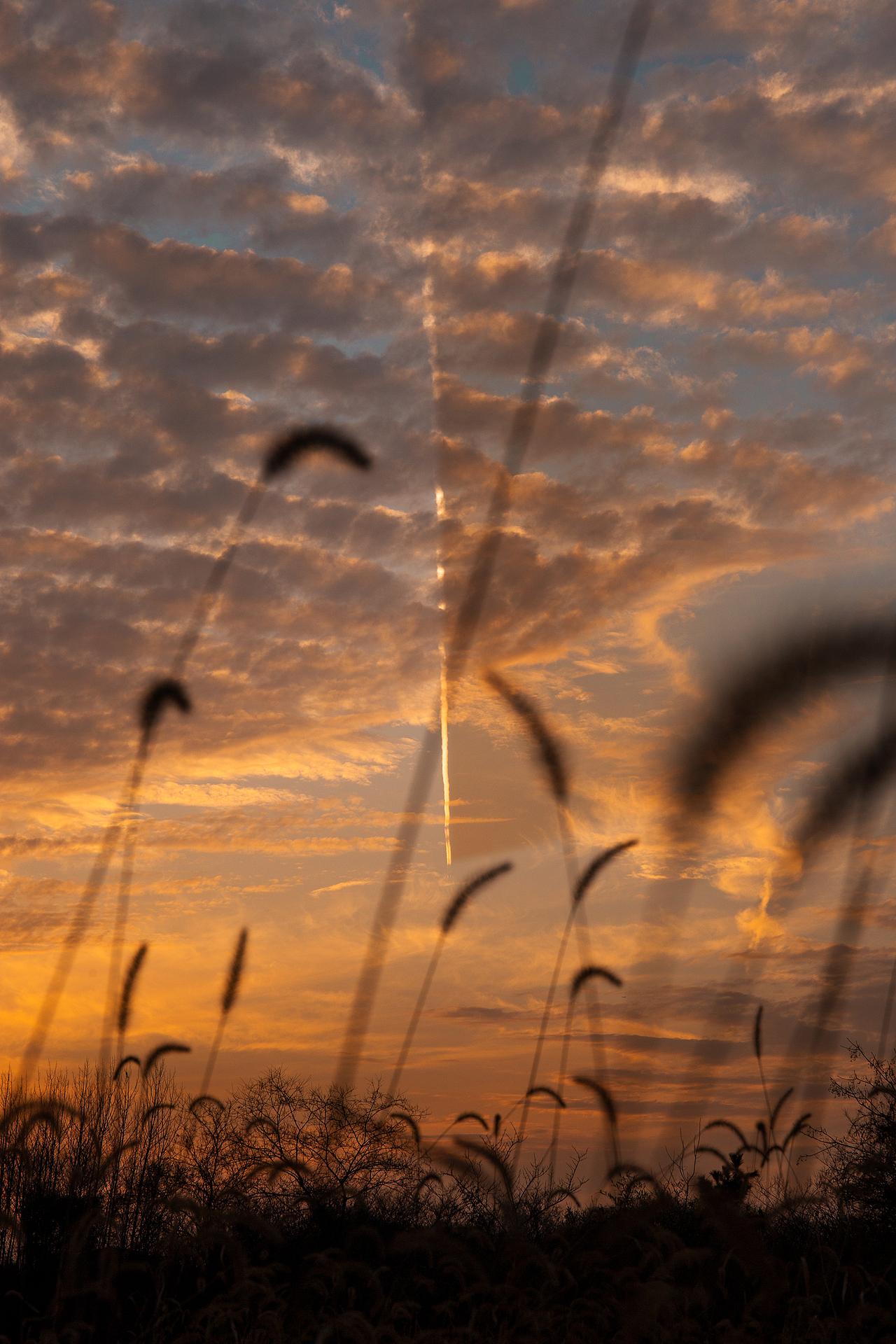 人间不值得（图ZMjA5MjQwOTky） - 其他摄影 - 站酷设计师没钱只好去作图原创素材 - 站酷ZCOOL