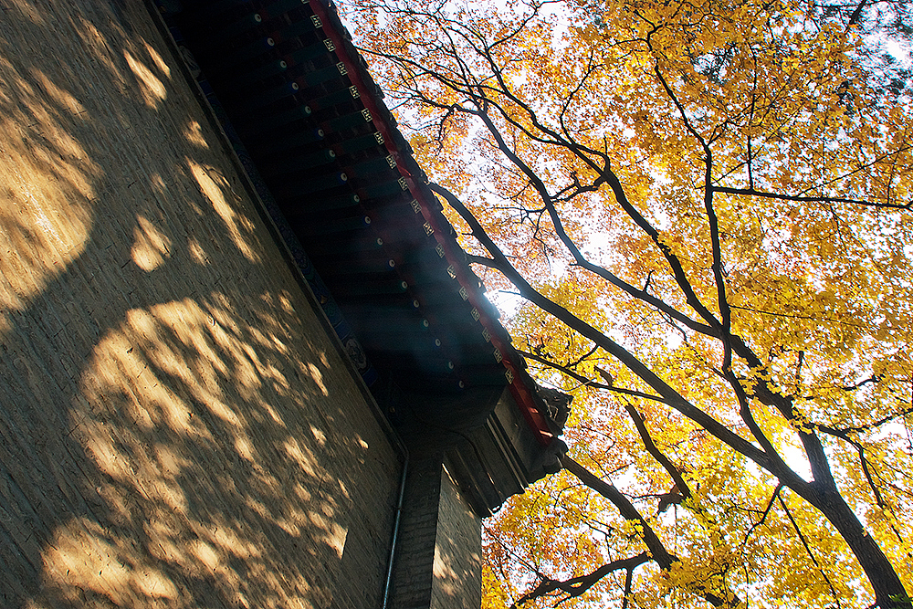 大觉寺寻秋《色、空、影》（图ZMzAwNDY2NTI=） - 风光摄影 - 站酷设计师上古清茗原创素材 - 站酷ZCOOL