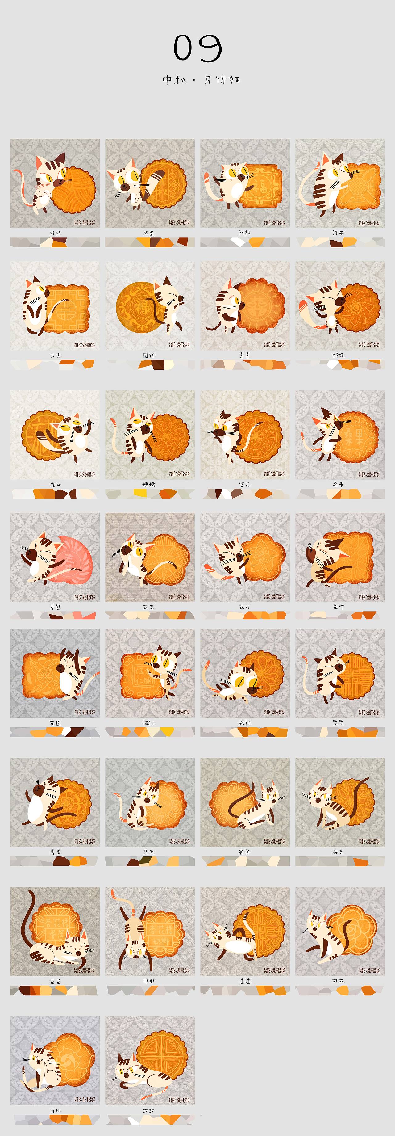 365只猫!打卡完毕,我做到啦!