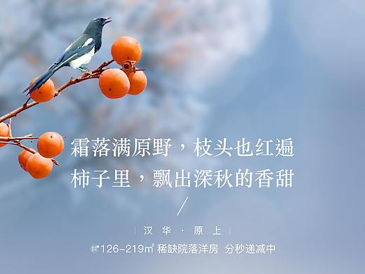霜降单图