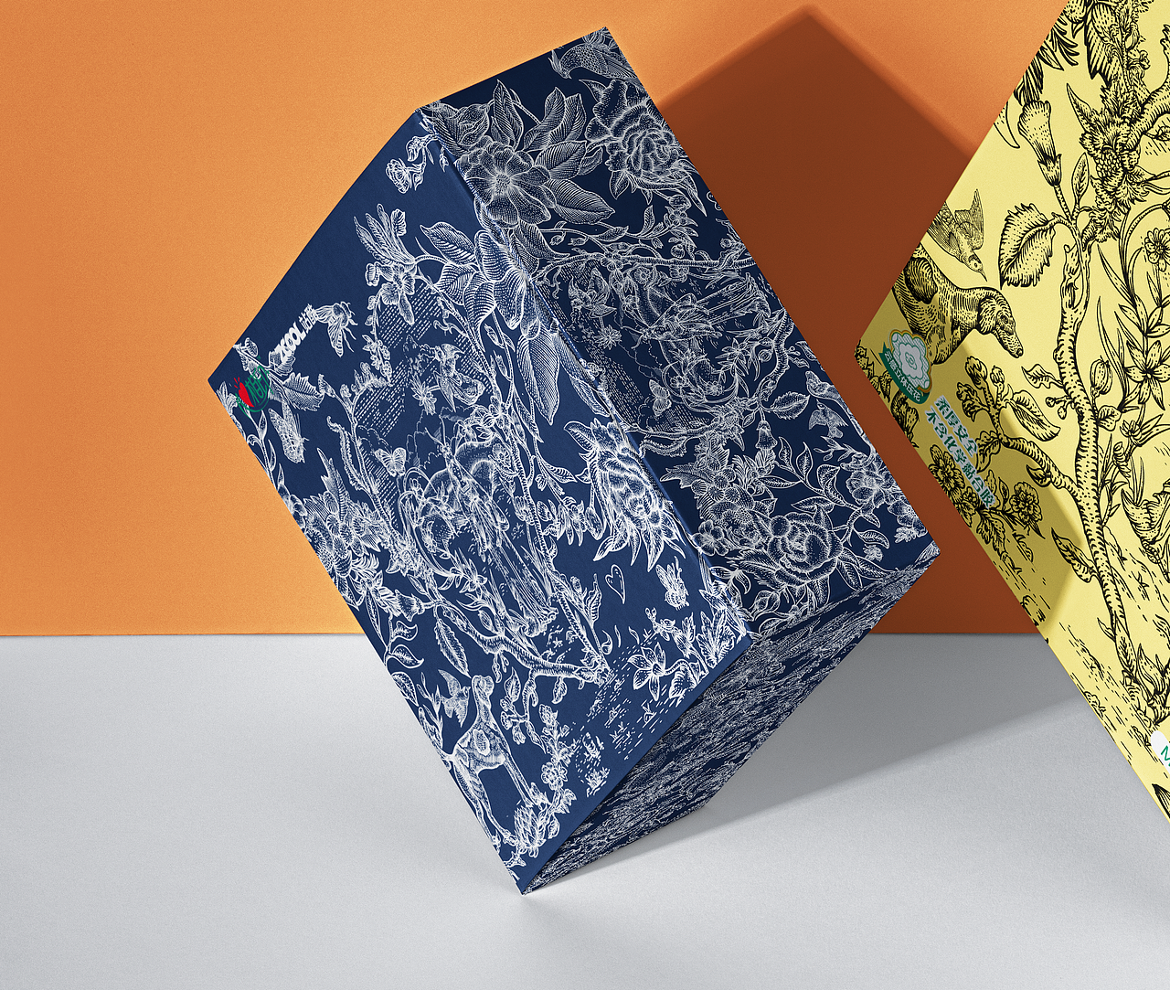 翱翔那个安静和谐森林家园