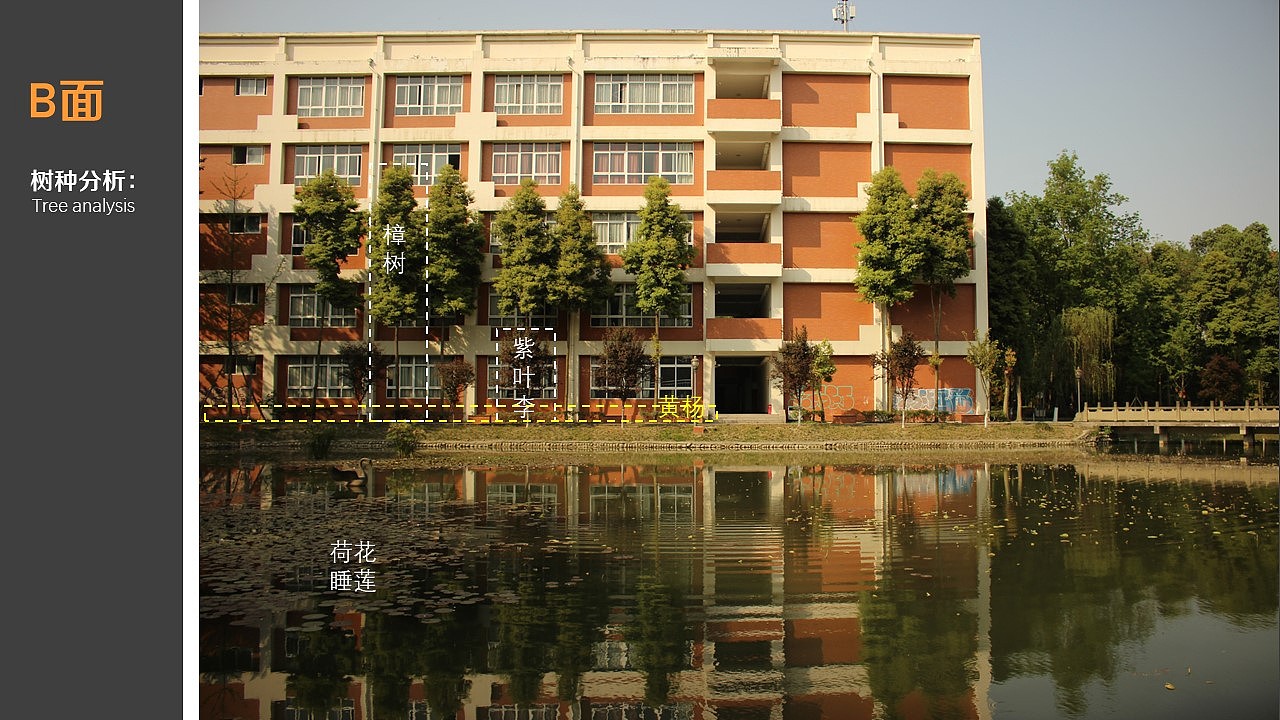 植物配置景观概念营造（图ZMTU0MTc4NjY0） - 景观设计 - 站酷设计师浦霖三顿原创素材 - 站酷ZCOOL