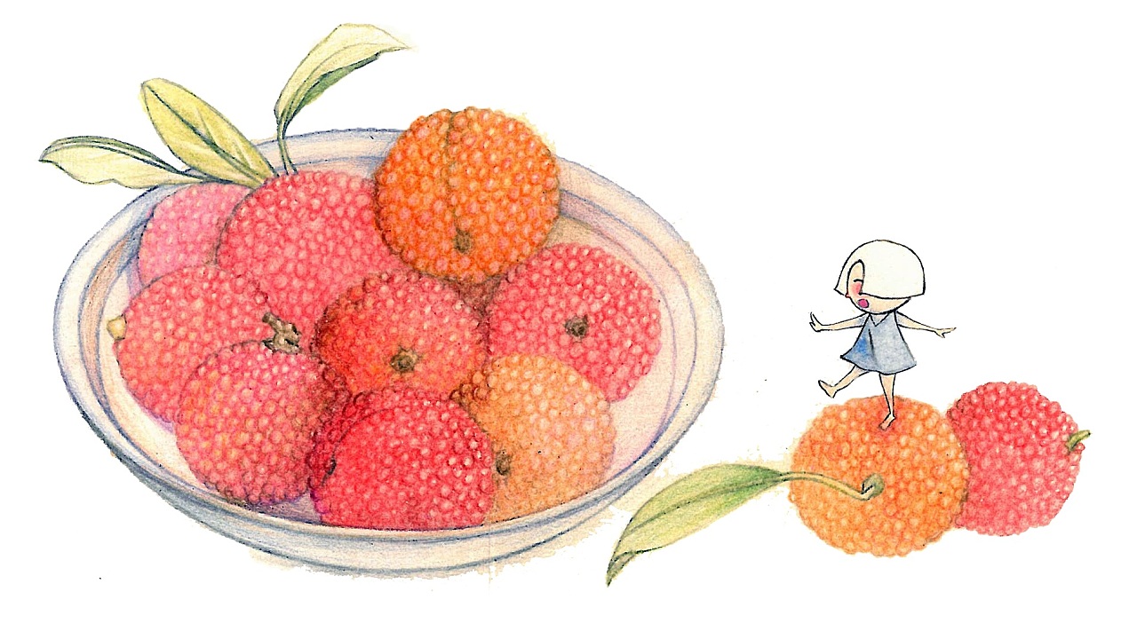 蜜饯插画