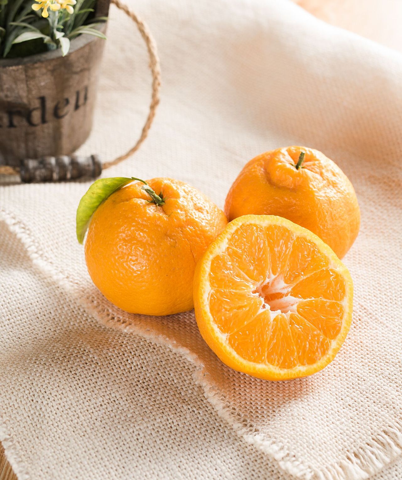 不知火丑柑|摄影|产品摄影|资阳吃货鱼藏剑_原创作品-站酷(zcool)