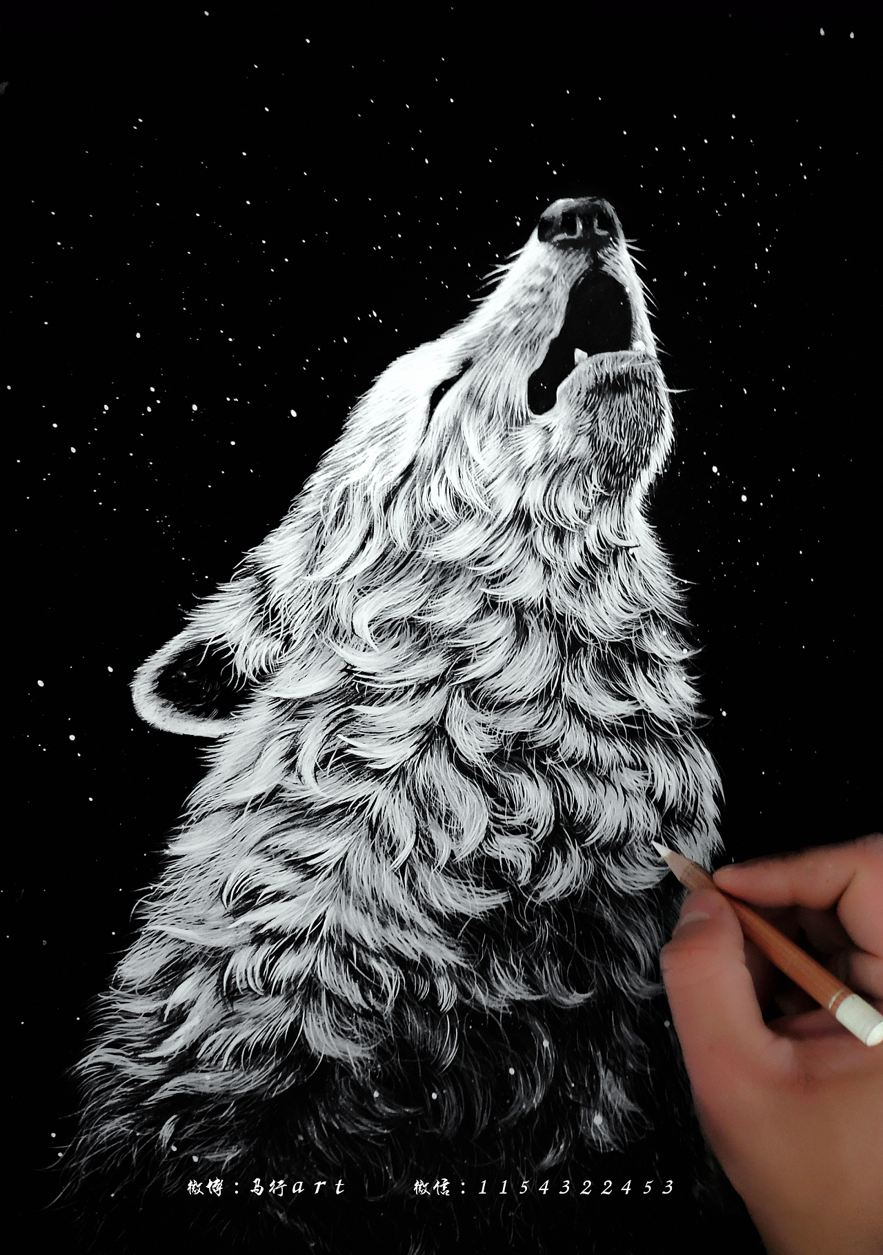 黑白动物绘画系列