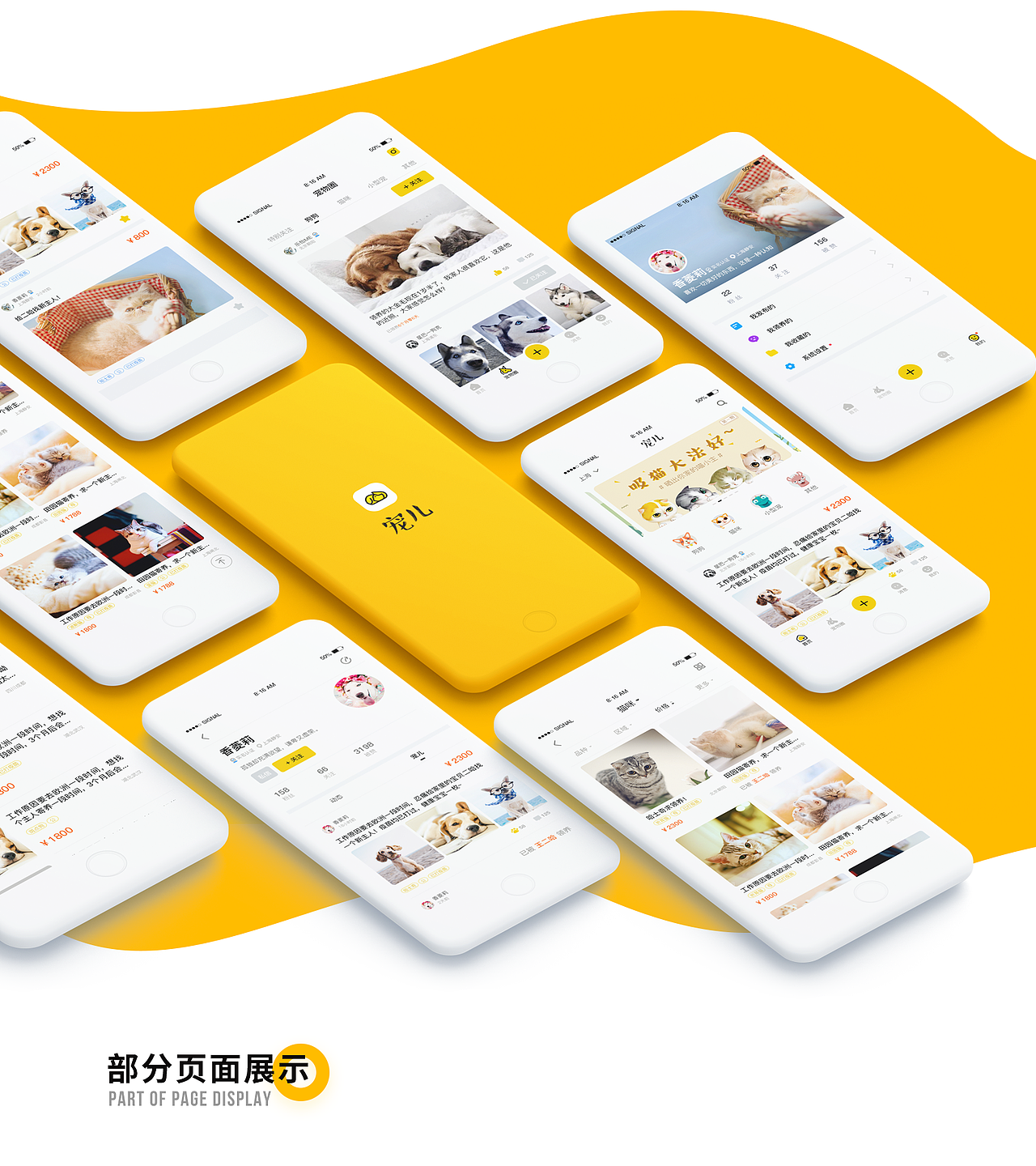 宠儿APP项目总结