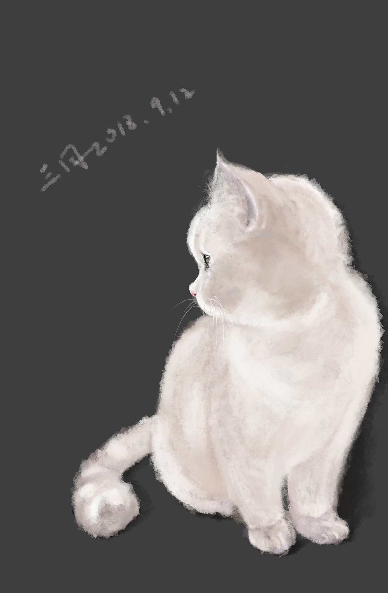 有一只英短叫三月（图ZMTI4NDM0MTAw） - 创作习作 - 站酷设计师梦游症7号患者原创素材 - 站酷ZCOOL