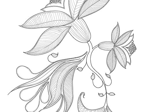 Illustrator线描设计稿