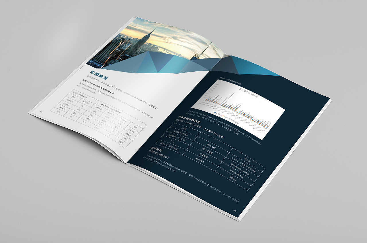 一组不知名画册