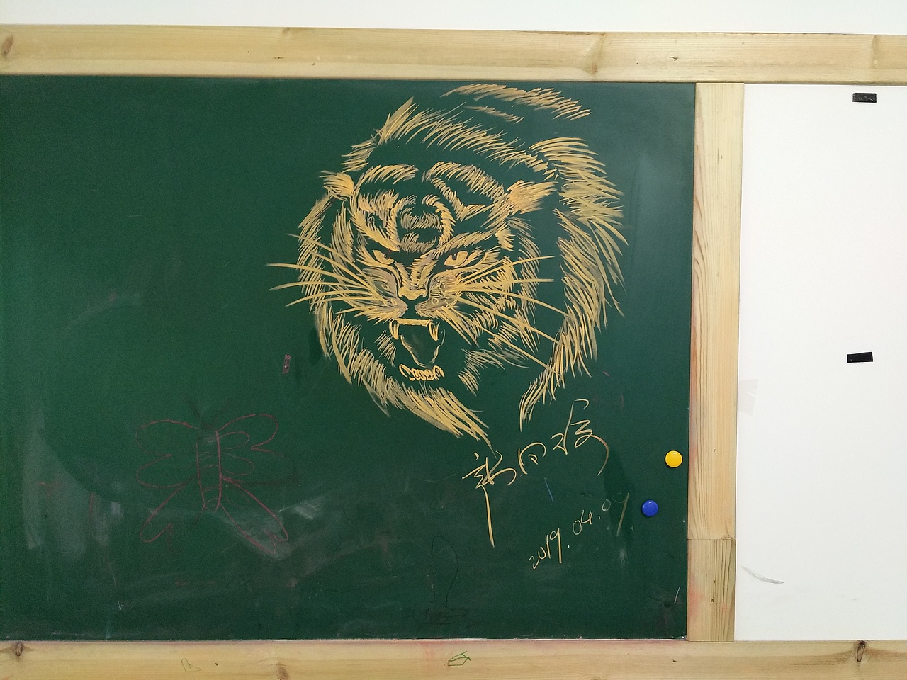 黑板画粉笔画老虎