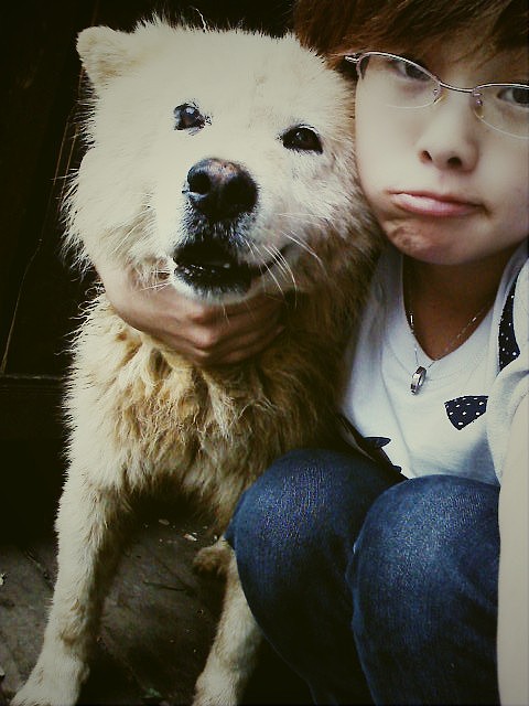 跟了我們家十多年的卷毛（圖ZMTE3OTkxNg==） - 人文/紀(jì)實(shí)攝影 - 站酷設(shè)計(jì)師麥笨笨原創(chuàng)素材 - 站酷ZCOOL