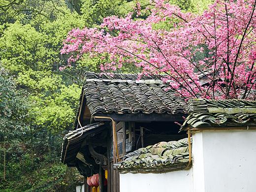 浙江丽水食材寻味之旅-畲族文化