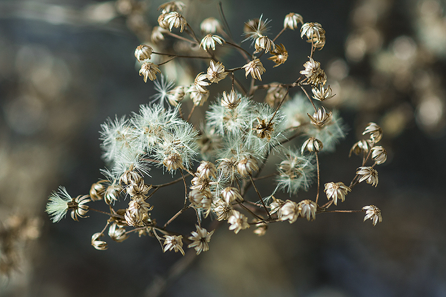 2014·10九寨沟（图ZMjA5NDgxOTY=） - 风光摄影 - 站酷设计师RyanShao原创素材 - 站酷ZCOOL