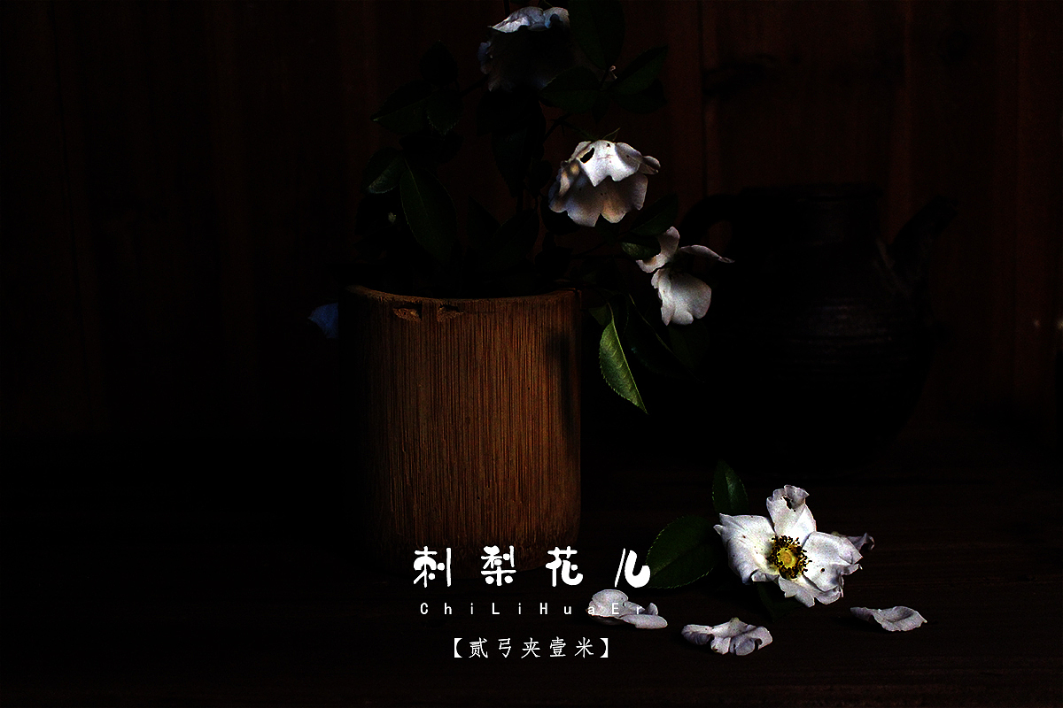【贰弓夹壹米】刺梨花，好看带刺。（图ZNzc2NTI3NDQ=） - 人文/纪实摄影 - 站酷设计师Roadarmor9原创素材 - 站酷ZCOOL