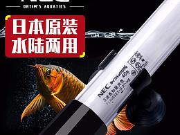 水族相关