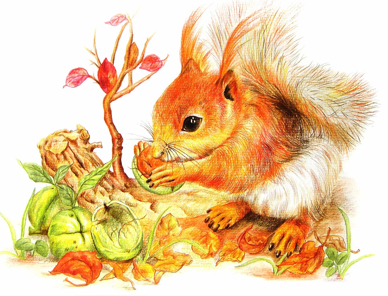 《动物物语》水溶彩铅作品一(勿商用!