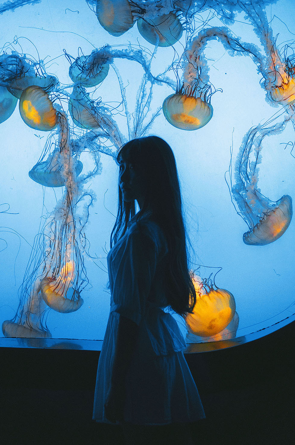 蓝色大海的传说