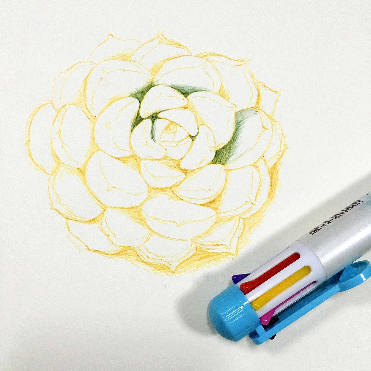 软萌多肉（图ZNjgyNjI1ODA=） - 绘画 - 站酷设计师JAYERz原创素材 - 站酷ZCOOL