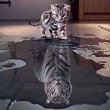 浅上的头像