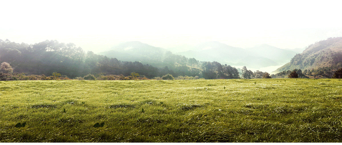 云尚电商7期学生作品展示（图ZNzk0MTgxMjA=） - 电商 - 站酷设计师云尚设区原创素材 - 站酷ZCOOL