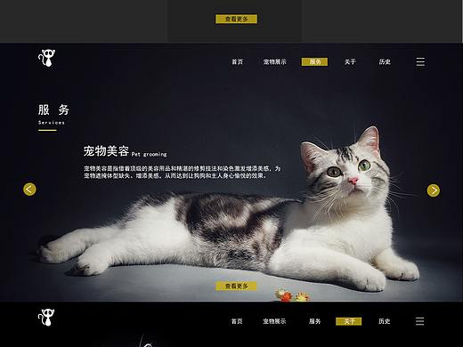 猫咪一屏式网页