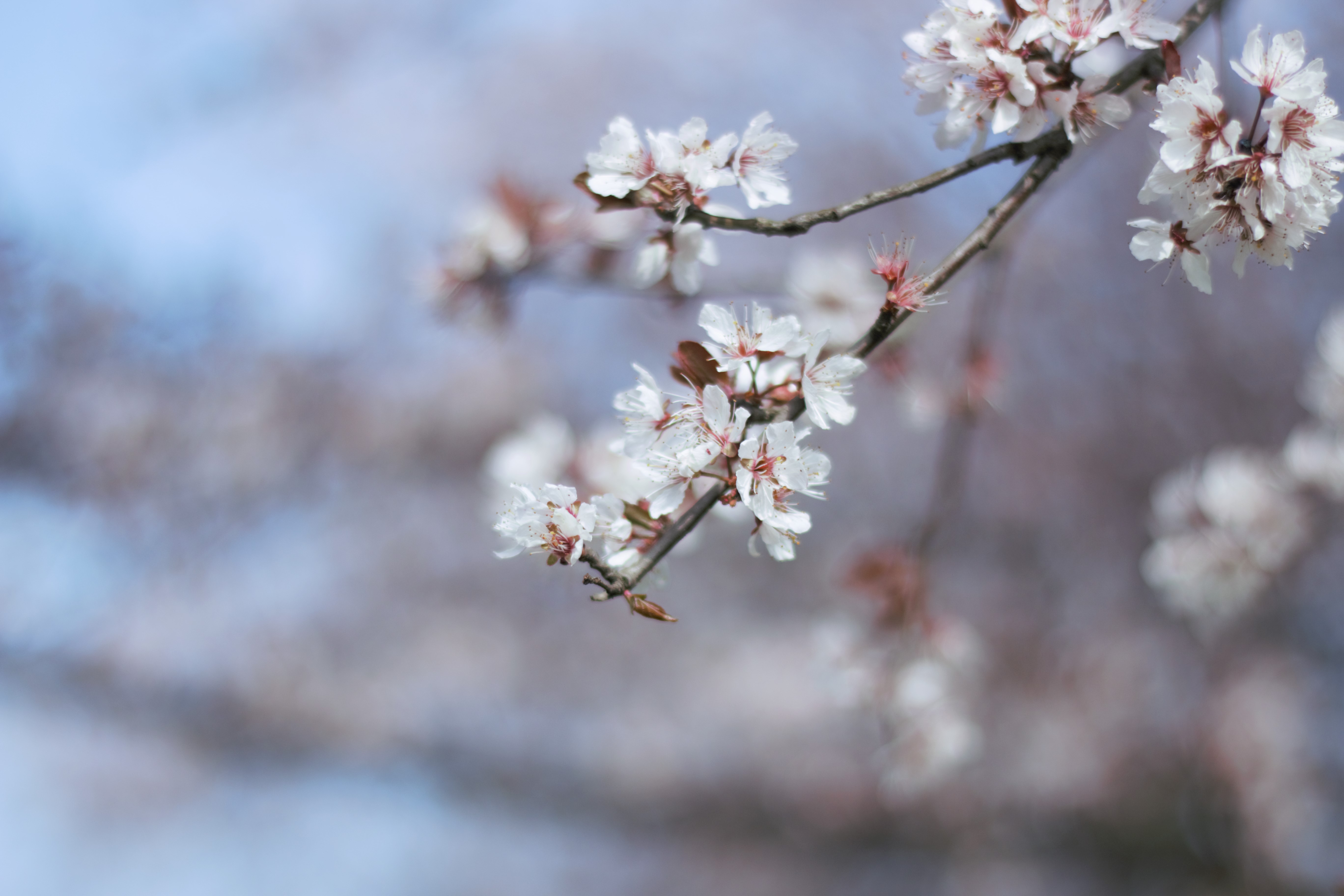 奈良NL的个人主页（封面预览） - 主页封面设置 - 站酷设计师奈良NL原创素材 - 站酷ZCOOL