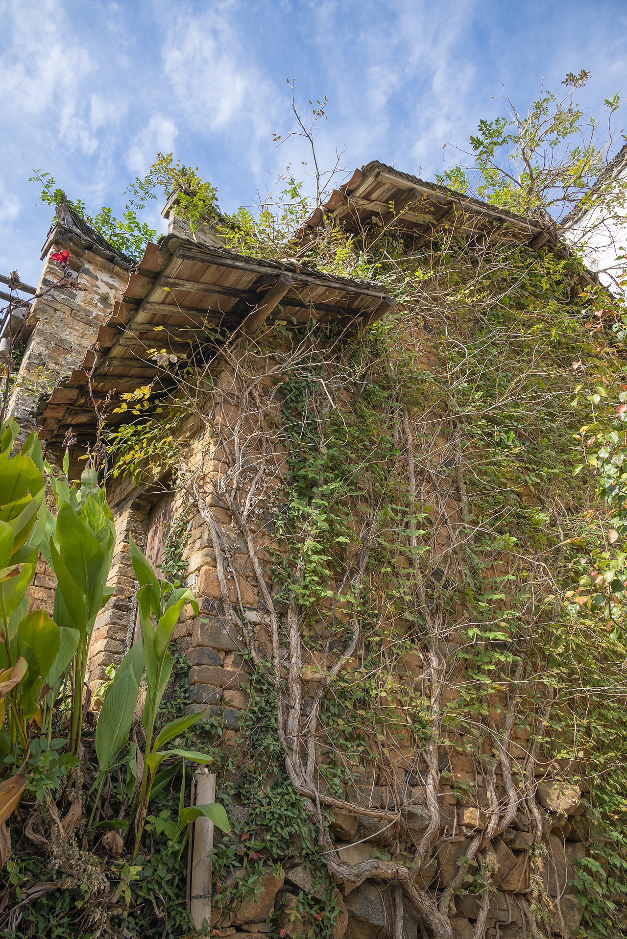 一个人的旅行-婺源篁岭（图ZMzIwNDU1OTU2） - 风光摄影 - 站酷设计师文艺田原创素材 - 站酷ZCOOL