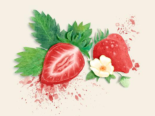 水彩风格食物插画