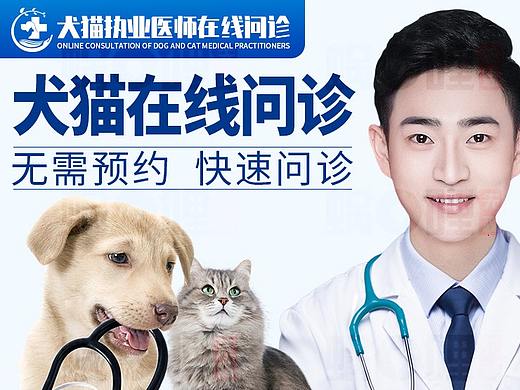 宠物医院详情页