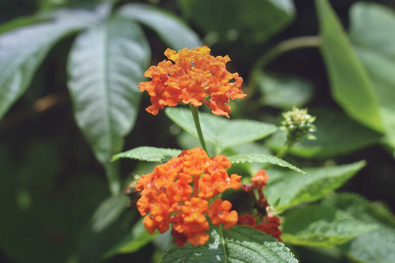 迷失厦门（图ZODkxNzAyOTI=） - 风光摄影 - 站酷设计师WS王小帅原创素材 - 站酷ZCOOL