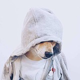 丿窝嘻嘻的头像