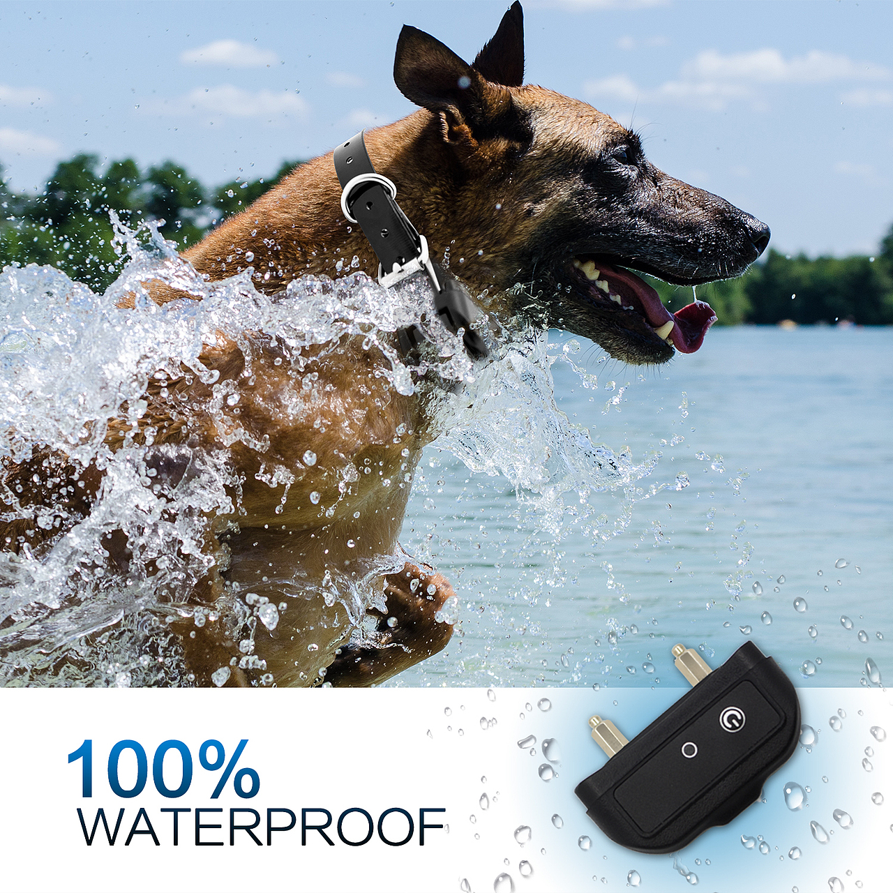 训狗器亚马逊主图