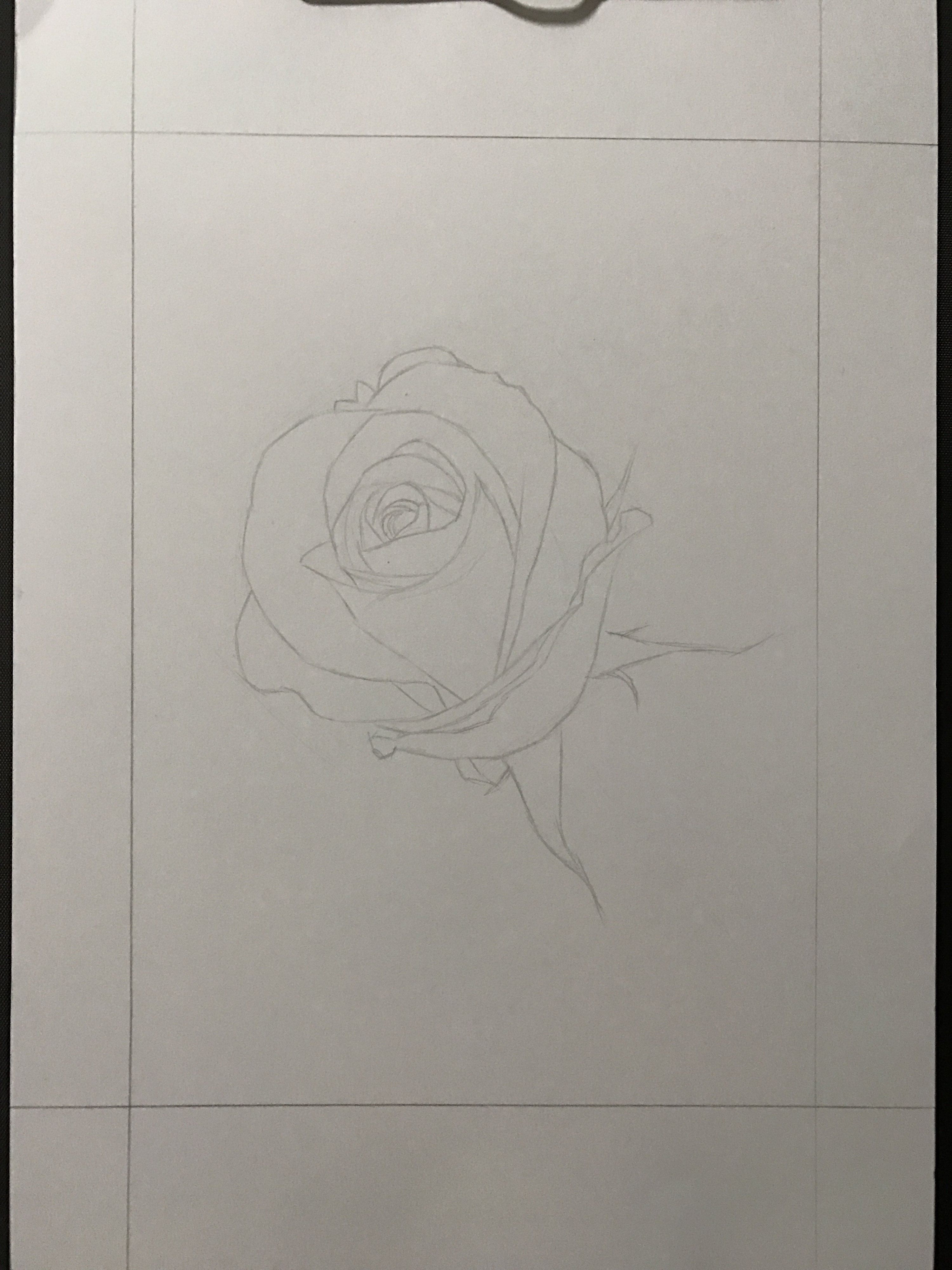 玫瑰圆珠笔手绘图片图片