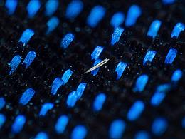 一組蝴蝶翅膀鱗片顯微