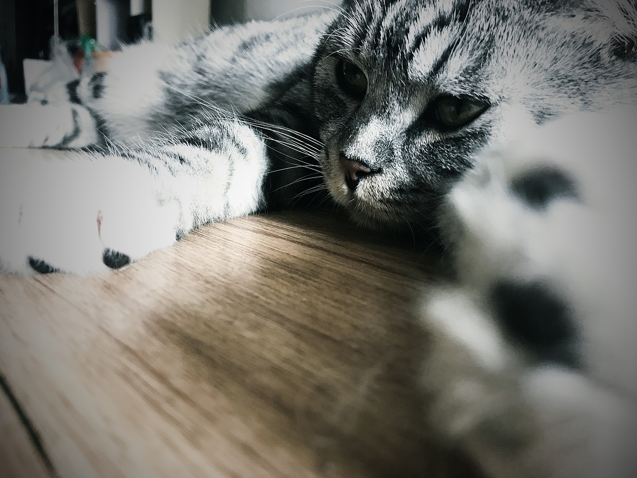 且行且珍惜（图ZODUyMjMyMjQ=） - 其他 - 站酷设计师痴兽原创素材 - 站酷ZCOOL