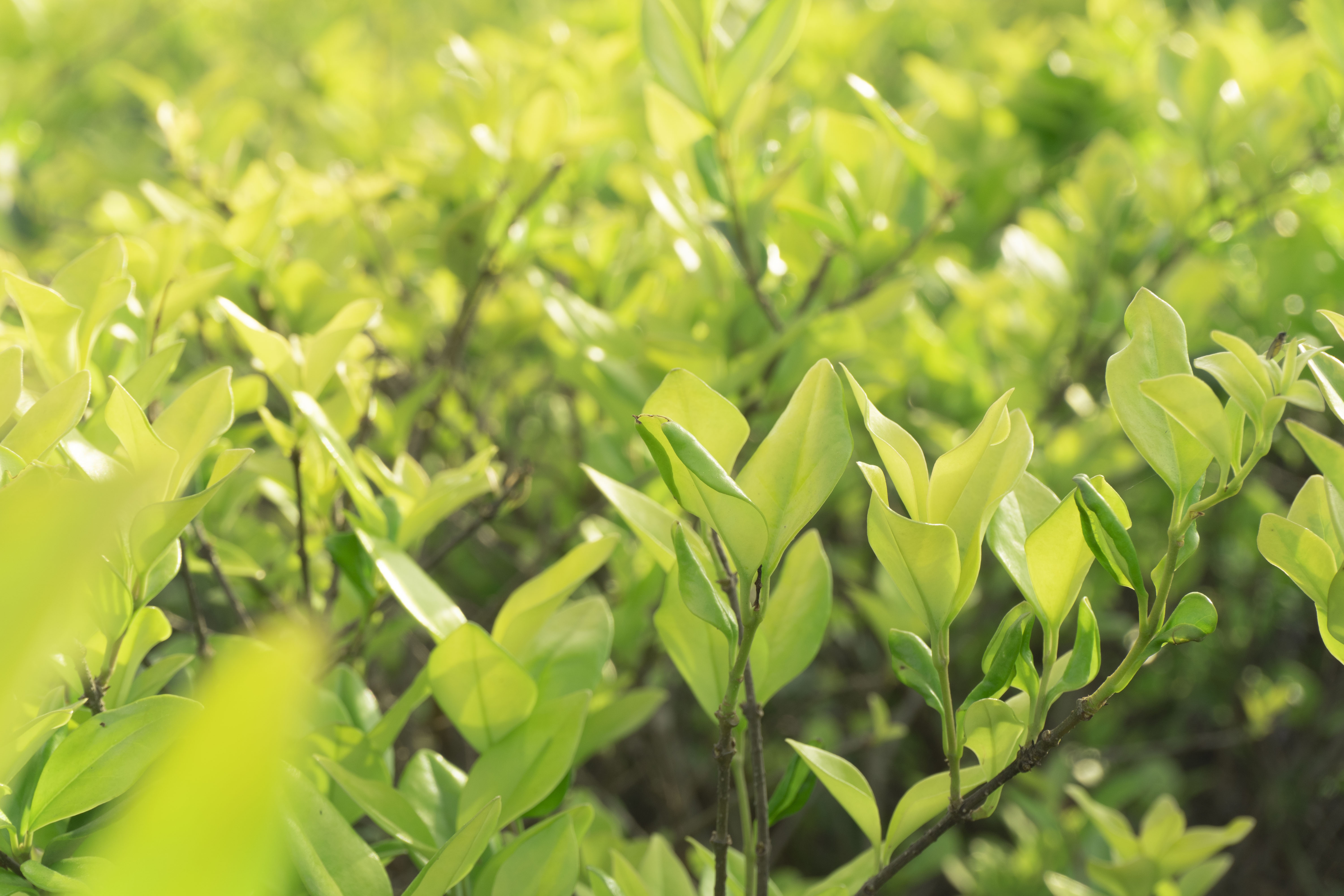 是GT的个人主页（封面预览） - 主页封面设置 - 站酷设计师是GT原创素材 - 站酷ZCOOL