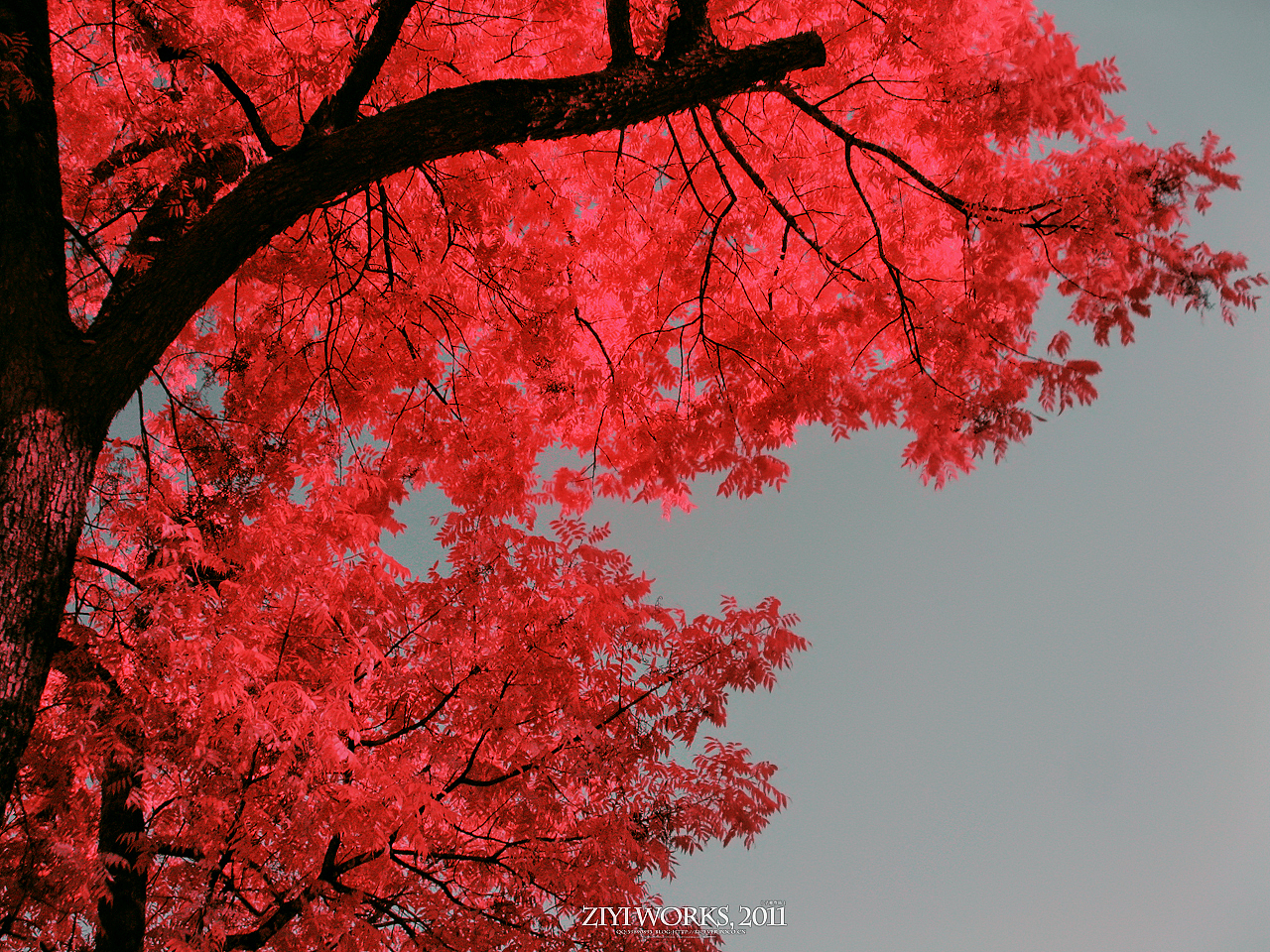 《上善若水，大道齐云》590篇