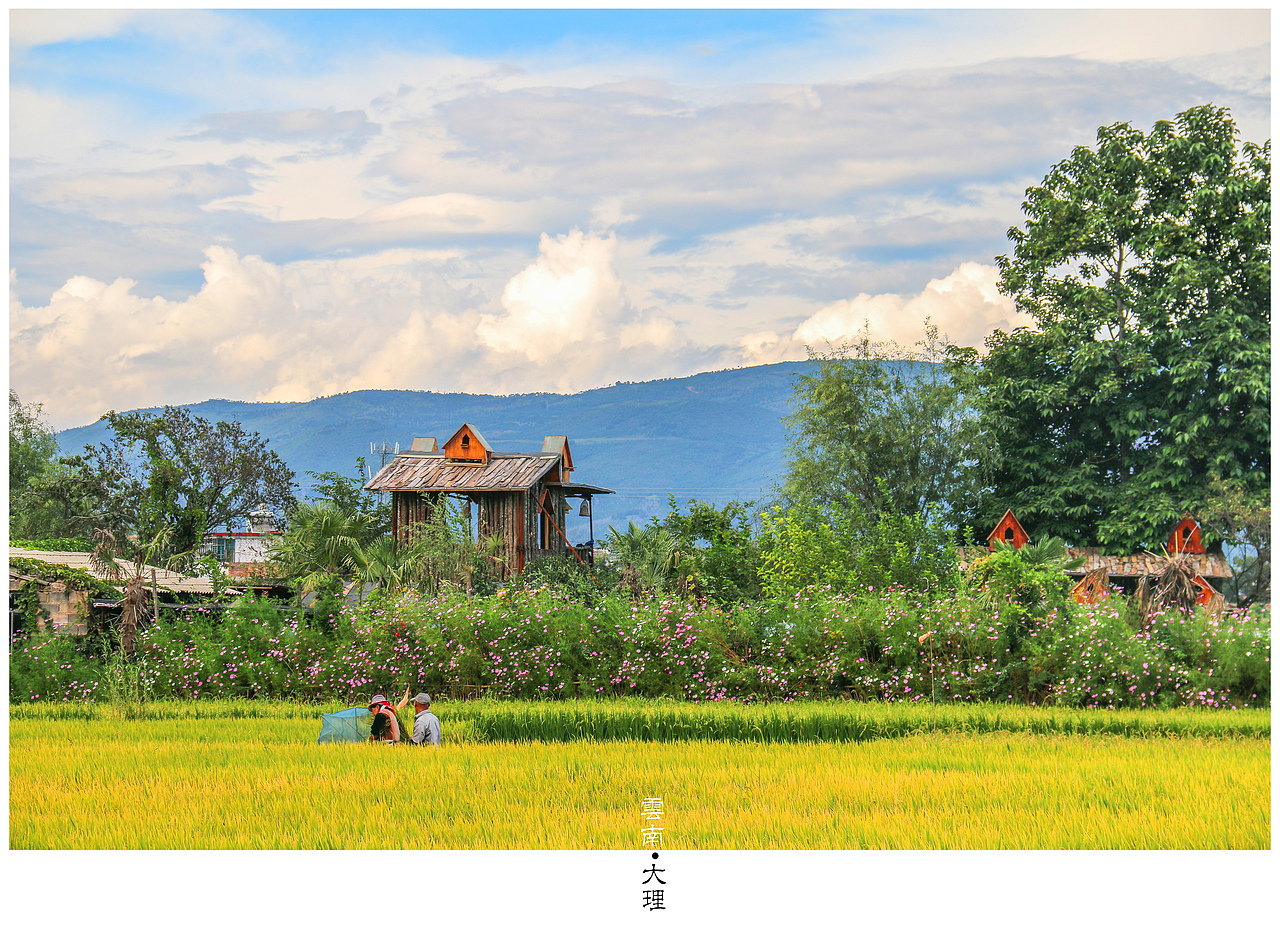 杂拍的风景（图ZMzY4MTA1MTI=） - 风光摄影 - 站酷设计师王游歌原创素材 - 站酷ZCOOL